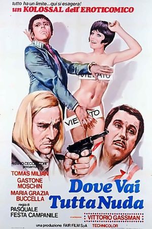 Dove vai tutta nuda?'s poster