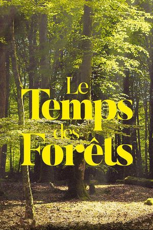 The Time of Forests's poster