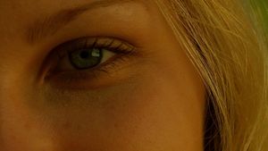 The Virgin Suicides's poster