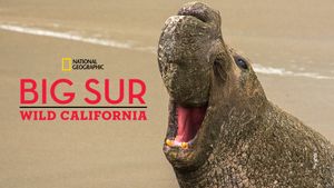 Big Sur-Wild California's poster