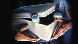 Gremlins's poster