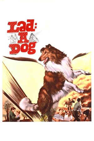 Lad: A Dog's poster