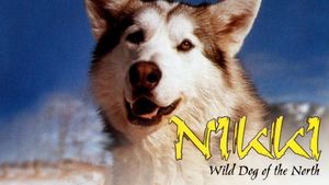 Nikki, Wild Dog of the North's poster