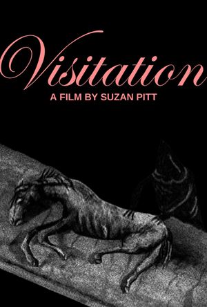 Visitation's poster