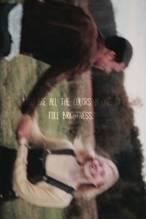 All the Bright Places's poster