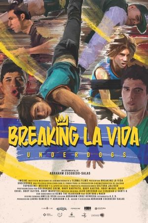 Breaking la Vida's poster