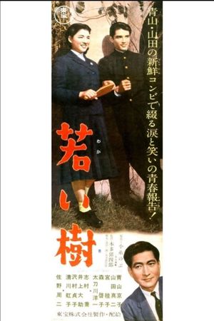 Young Tree's poster