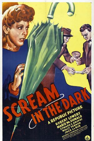 A Scream in the Dark's poster image