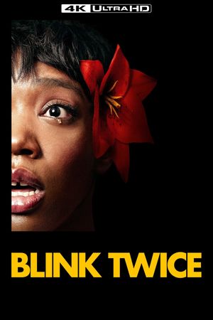 Blink Twice's poster