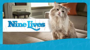 Nine Lives's poster