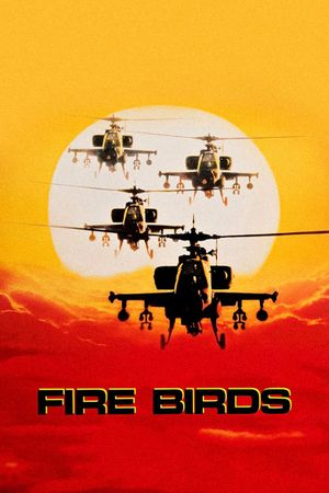 Fire Birds's poster