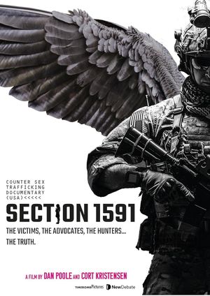 Section 1591's poster
