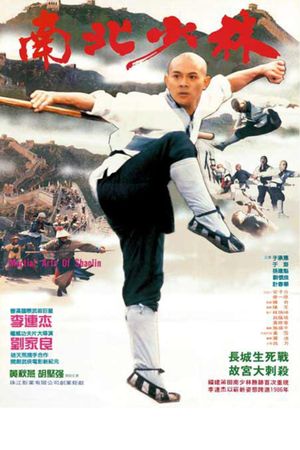 Martial Arts of Shaolin's poster