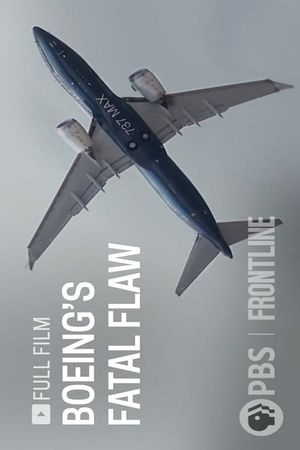 Boeing's Fatal Flaw's poster image
