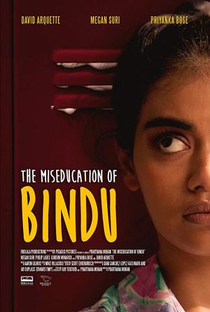 The Miseducation of Bindu's poster image