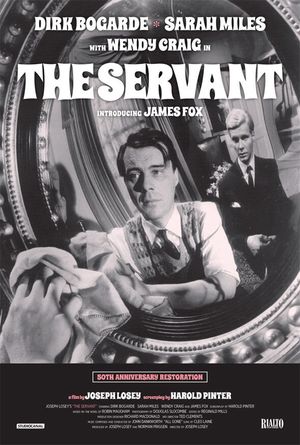 The Servant's poster