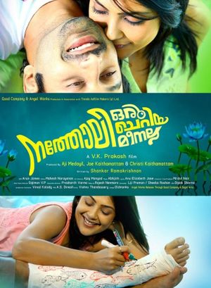 Natholi Oru Cheriya Meenalla's poster
