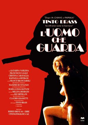 The Voyeur's poster
