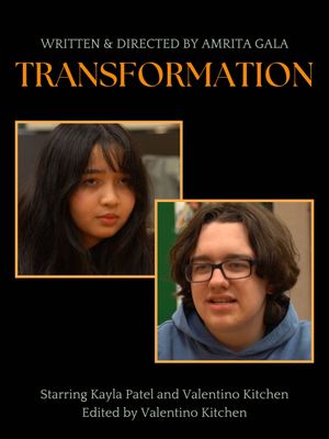 Transformation's poster