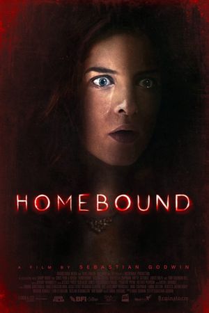 Homebound's poster