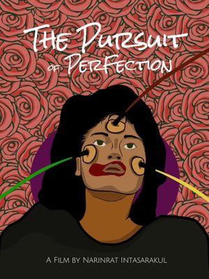 The Pursuit Of Perfection's poster