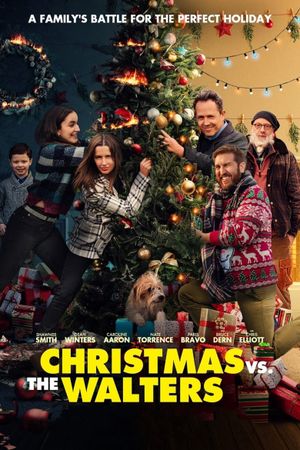 Christmas vs. The Walters's poster