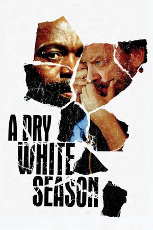 A Dry White Season's poster