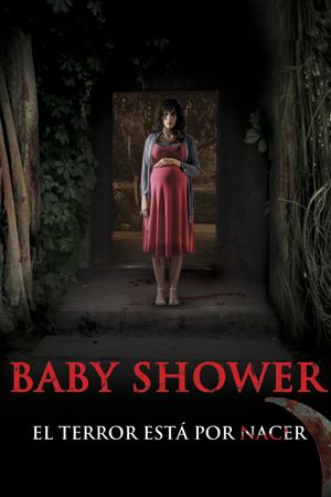 Baby Shower's poster