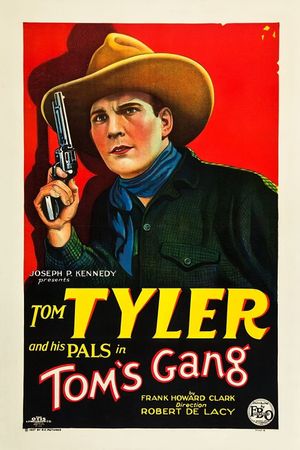 Tom's Gang's poster