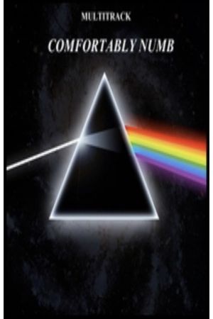 Pink Floyd - Comfortably Numb's poster