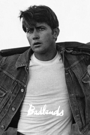Badlands's poster