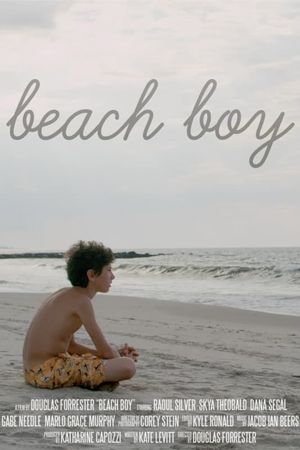 Beach Boy's poster