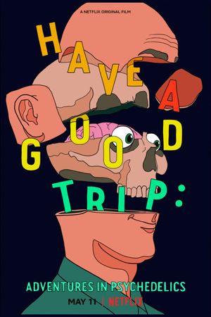 Have a Good Trip's poster