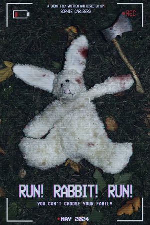 RUN! RABBIT! RUN!'s poster image