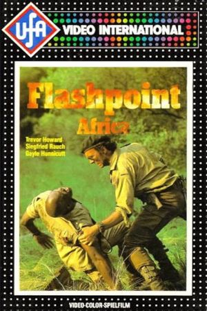 Flashpoint Africa's poster