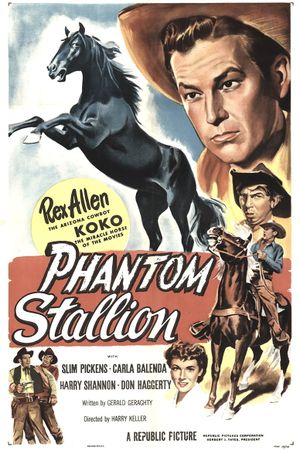 Phantom Stallion's poster