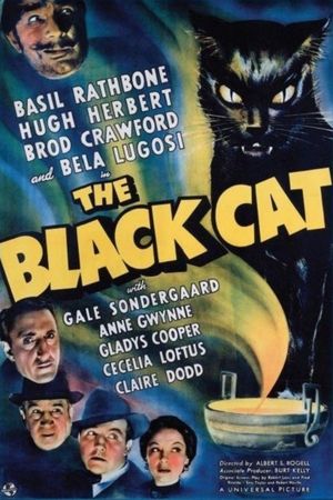 The Black Cat's poster