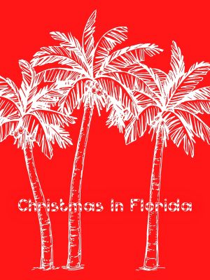 Christmas in Florida's poster