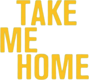 Take Me Home's poster