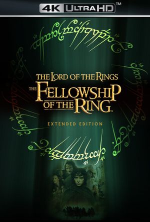 The Lord of the Rings: The Fellowship of the Ring's poster