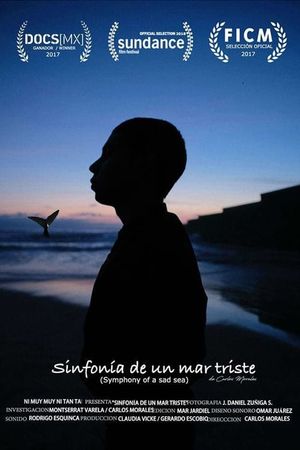 Symphony of a Sad Sea's poster