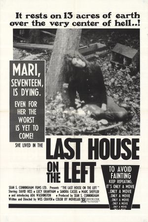 The Last House on the Left's poster