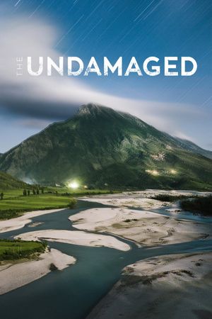 The Undamaged's poster
