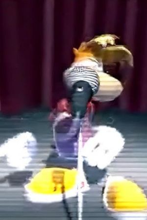 Rayman sings sexbomb's poster
