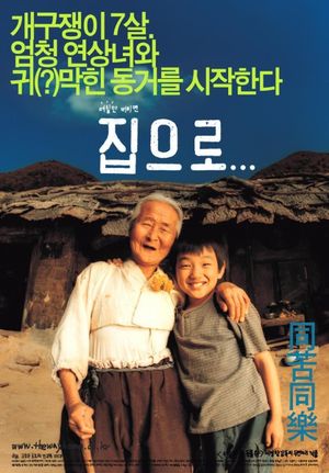 The Way Home's poster