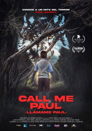 Call me Paul's poster
