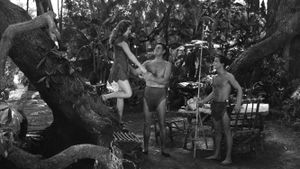 Tarzan and the Huntress's poster
