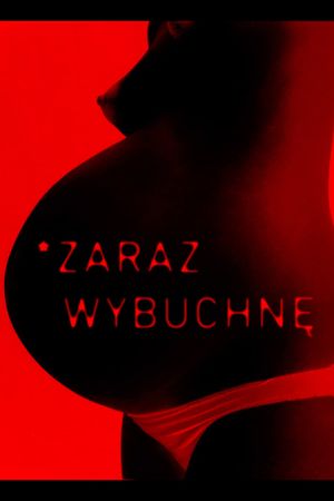 #polish_women_resistance's poster