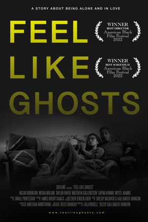 Feel Like Ghosts's poster image
