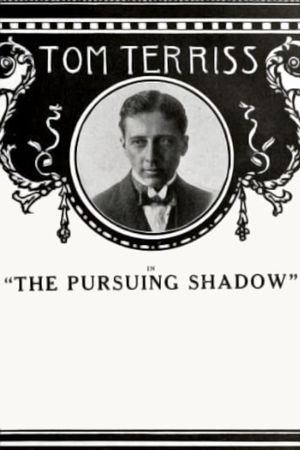 The Pursuing Shadow's poster image